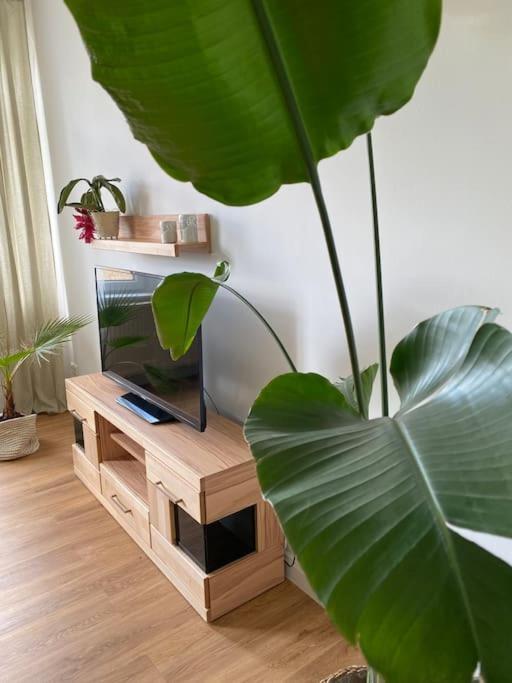 2-Zimmer Zentral In Ferdinandshof, Wlan Modern Luaran gambar