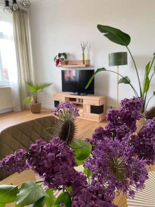 2-Zimmer Zentral In Ferdinandshof, Wlan Modern Luaran gambar